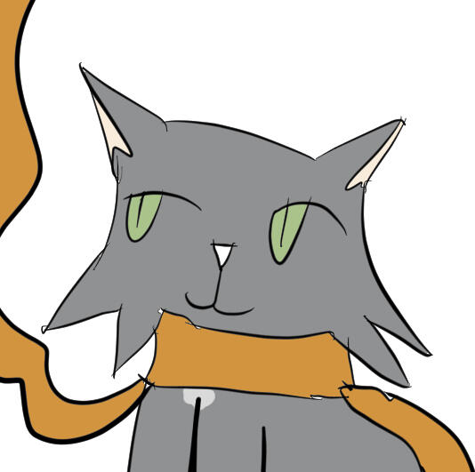 a little grey cat wearing an orange scarf